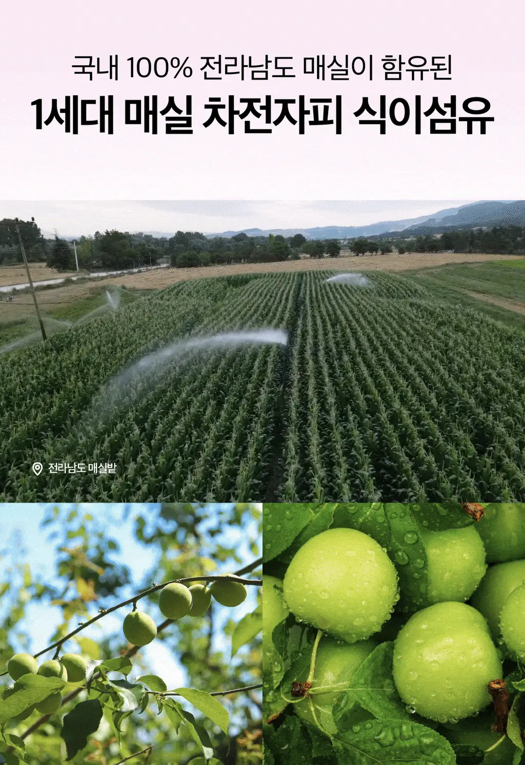 [1세대 차전자피] 잘록 비우다 매실맛 20포 (20일분) 상세페이지 9
